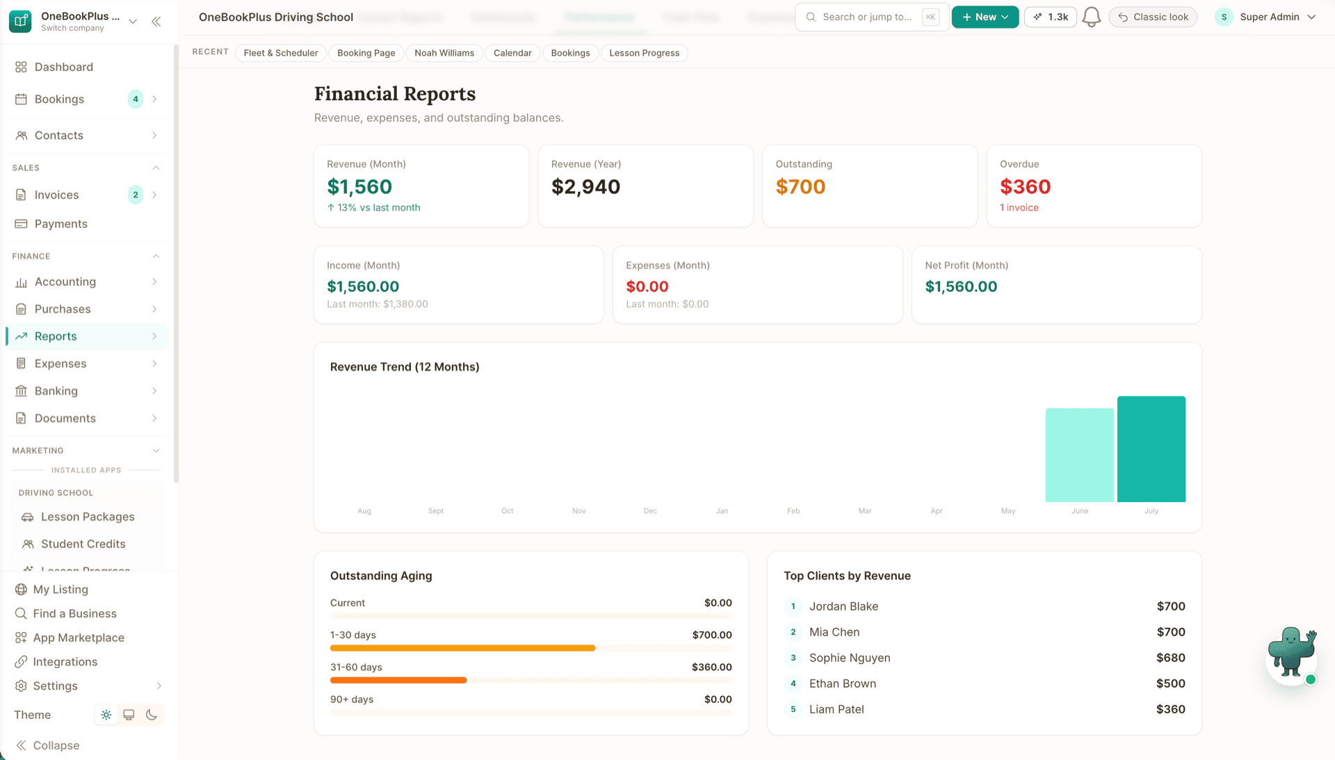 Financial reports for a driving school in OneBookPlus: revenue, outstanding aging and top clients